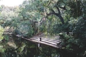 Hillsborough River State Park Wedding, Mandy + Scott