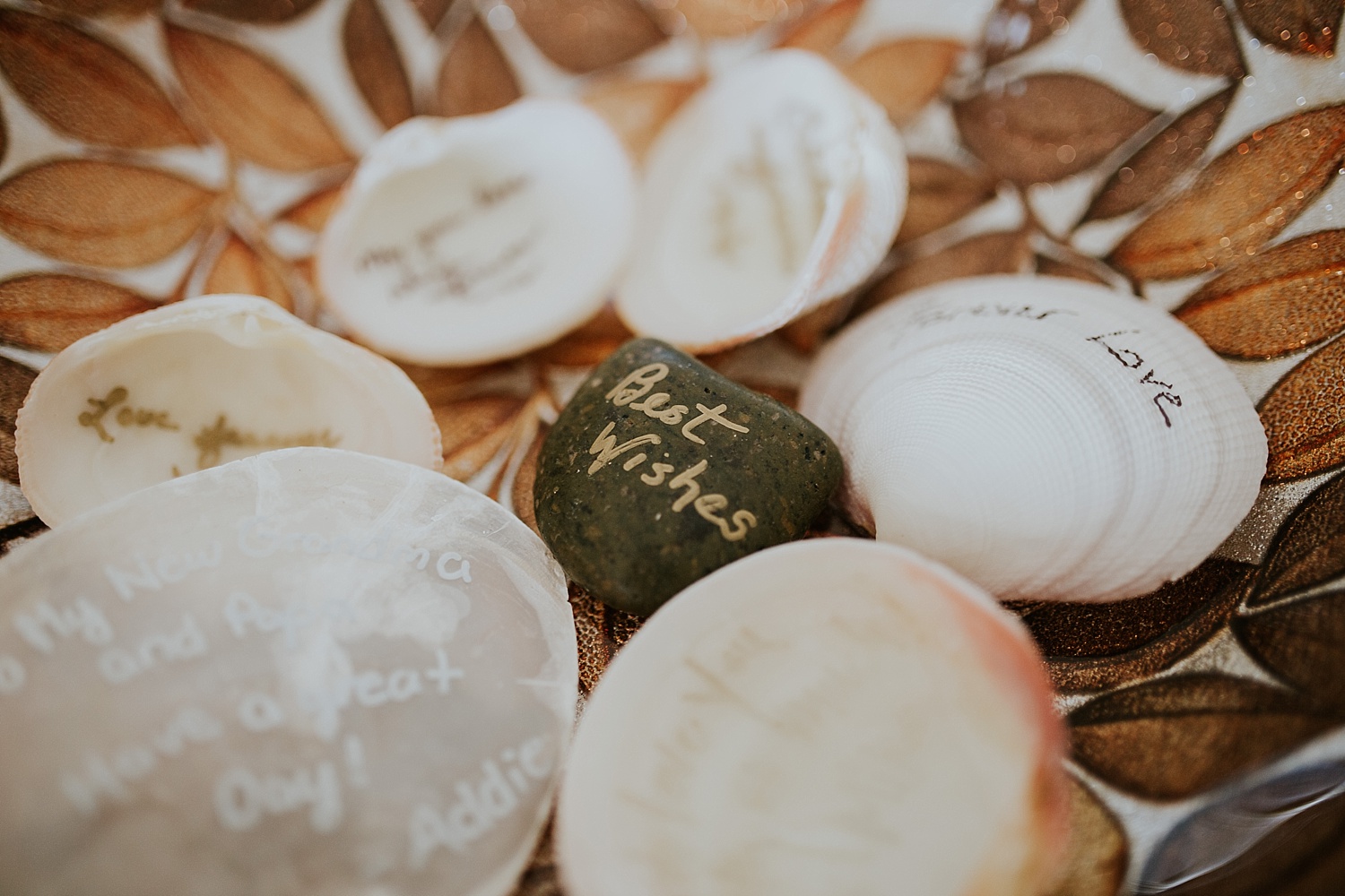 Intimate Backyard Wedding, Ft. Myers Wedding Photos, Ft Myers Wedding Photographers, Ashley Izquierdo, Tampa Wedding Photographers, Tampa Wedding Photographer, Intimate Backyard Wedding Photos, The Vine Fort Myers, Backyard wedding photos, Backyard wedding ideas