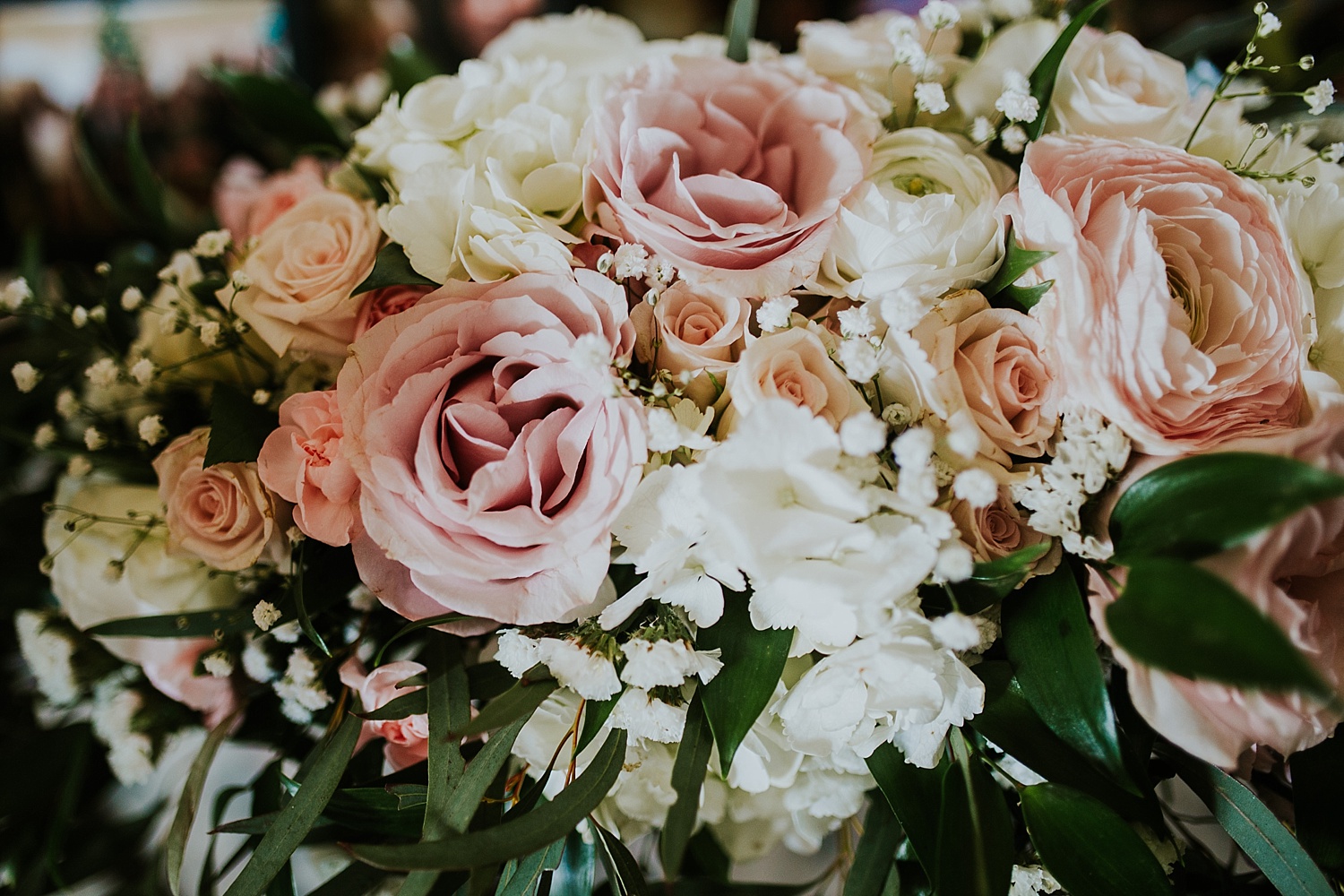 Intimate Backyard Wedding, Ft. Myers Wedding Photos, Ft Myers Wedding Photographers, Ashley Izquierdo, Tampa Wedding Photographers, Tampa Wedding Photographer, Intimate Backyard Wedding Photos, The Vine Fort Myers, Backyard wedding photos, Backyard wedding ideas