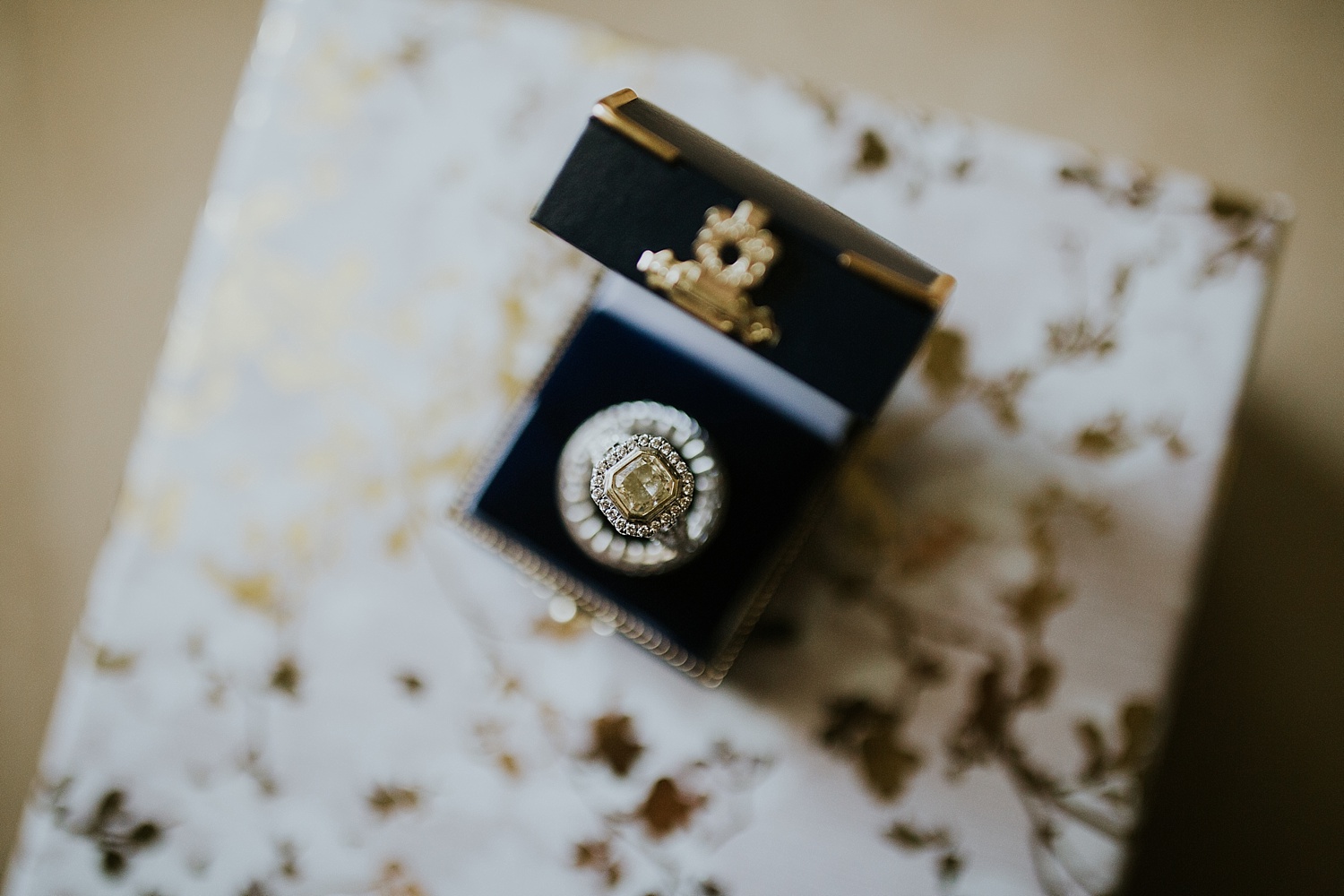 Intimate Backyard Wedding, Ft. Myers Wedding Photos, Ft Myers Wedding Photographers, Ashley Izquierdo, Tampa Wedding Photographers, Tampa Wedding Photographer, Intimate Backyard Wedding Photos, The Vine Fort Myers, Backyard wedding photos, Backyard wedding ideas
