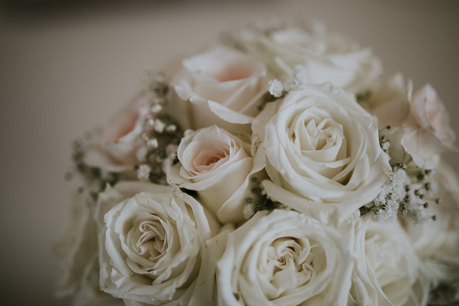 Intimate Backyard Wedding, Ft. Myers Wedding Photos, Ft Myers Wedding Photographers, Ashley Izquierdo, Tampa Wedding Photographers, Tampa Wedding Photographer, Intimate Backyard Wedding Photos, The Vine Fort Myers, Backyard wedding photos, Backyard wedding ideas