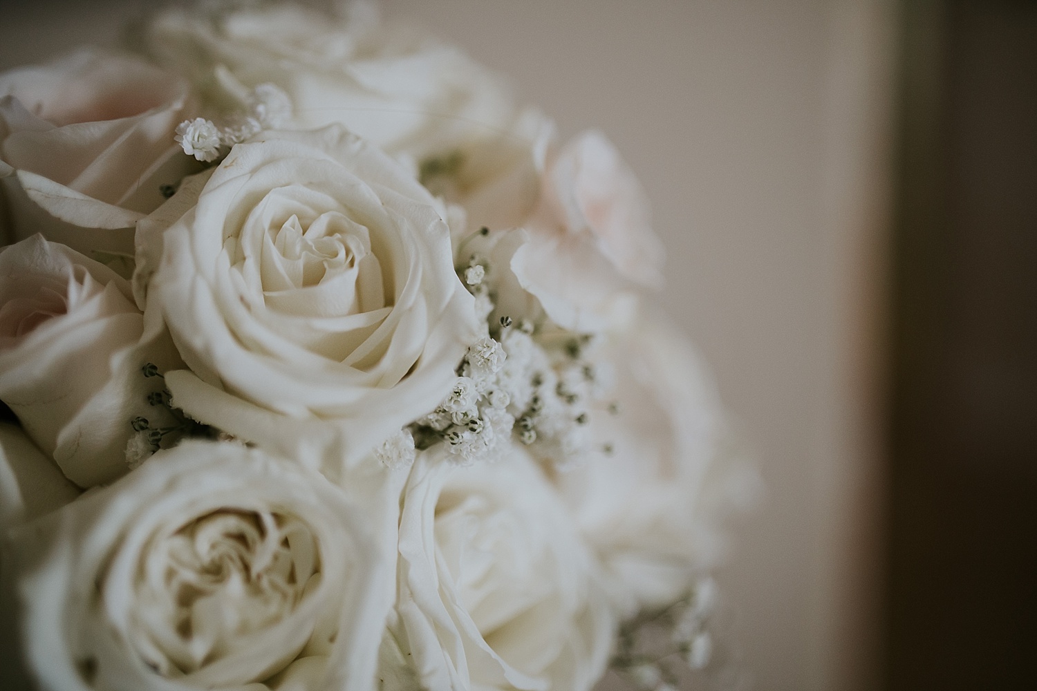 Intimate Backyard Wedding, Ft. Myers Wedding Photos, Ft Myers Wedding Photographers, Ashley Izquierdo, Tampa Wedding Photographers, Tampa Wedding Photographer, Intimate Backyard Wedding Photos, The Vine Fort Myers, Backyard wedding photos, Backyard wedding ideas