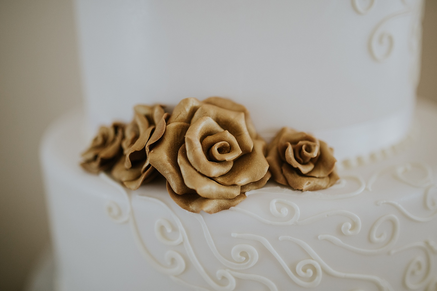 Intimate Backyard Wedding, Ft. Myers Wedding Photos, Ft Myers Wedding Photographers, Ashley Izquierdo, Tampa Wedding Photographers, Tampa Wedding Photographer, Intimate Backyard Wedding Photos, The Vine Fort Myers, Backyard wedding photos, Backyard wedding ideas