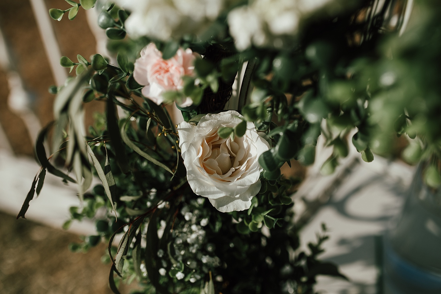 Intimate Backyard Wedding, Ft. Myers Wedding Photos, Ft Myers Wedding Photographers, Ashley Izquierdo, Tampa Wedding Photographers, Tampa Wedding Photographer, Intimate Backyard Wedding Photos, The Vine Fort Myers, Backyard wedding photos, Backyard wedding ideas