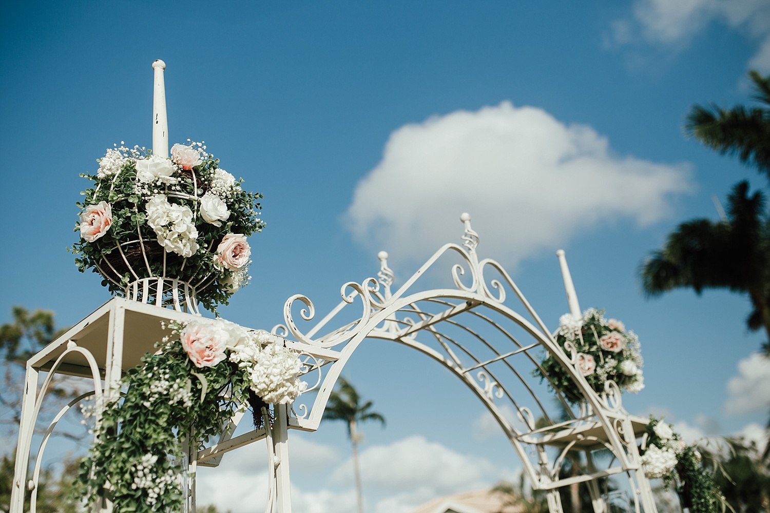 Intimate Backyard Wedding, Ft. Myers Wedding Photos, Ft Myers Wedding Photographers, Ashley Izquierdo, Tampa Wedding Photographers, Tampa Wedding Photographer, Intimate Backyard Wedding Photos, The Vine Fort Myers, Backyard wedding photos, Backyard wedding ideas
