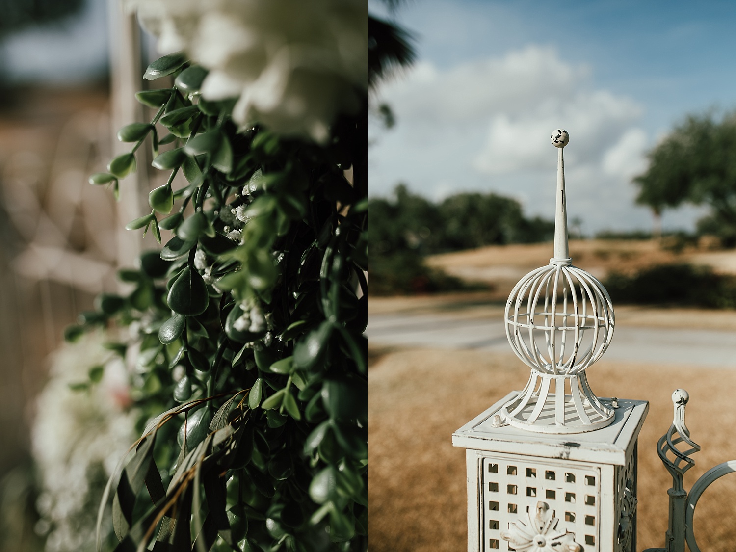 Intimate Backyard Wedding, Ft. Myers Wedding Photos, Ft Myers Wedding Photographers, Ashley Izquierdo, Tampa Wedding Photographers, Tampa Wedding Photographer, Intimate Backyard Wedding Photos, The Vine Fort Myers, Backyard wedding photos, Backyard wedding ideas