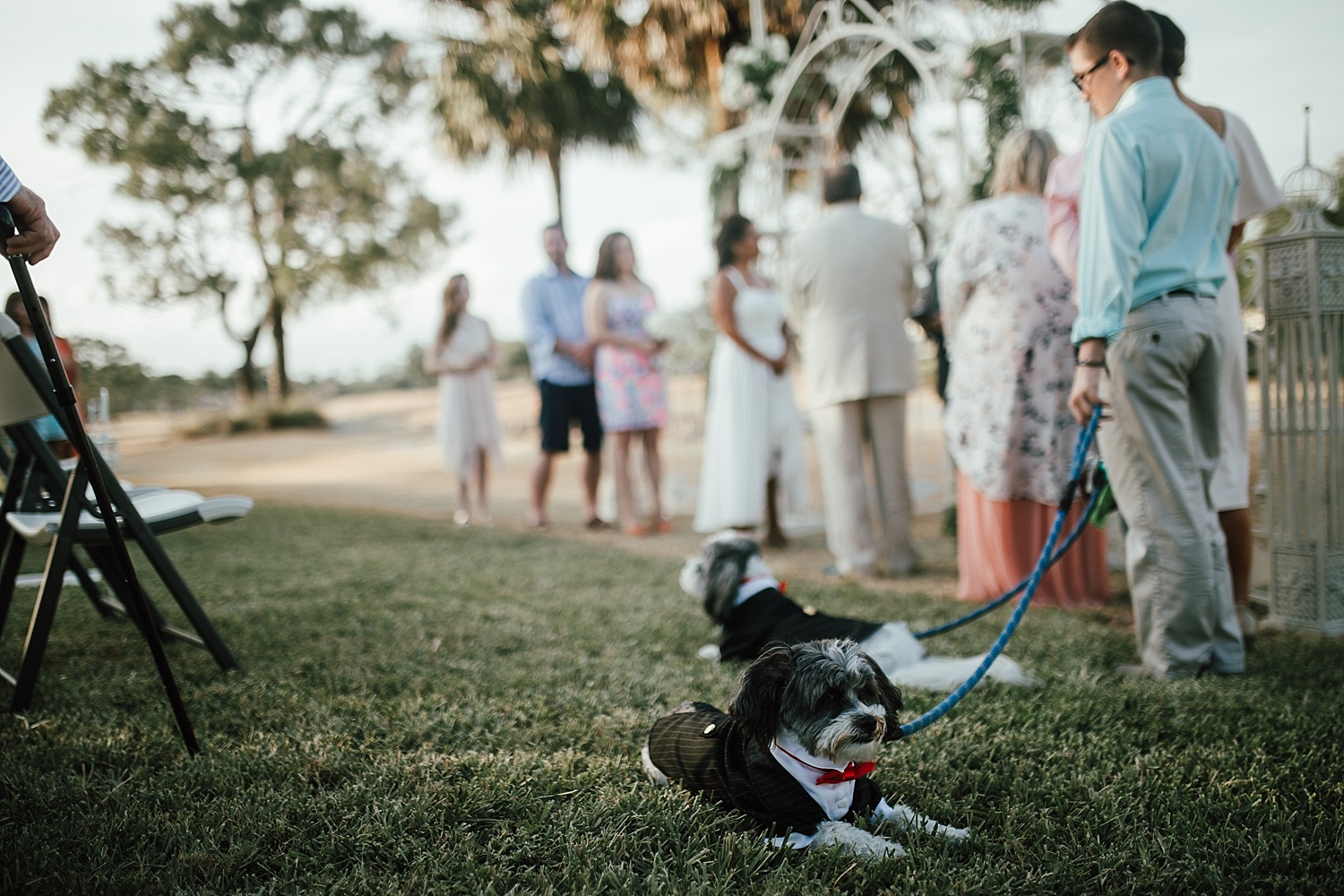 Intimate Backyard Wedding, Ft. Myers Wedding Photos, Ft Myers Wedding Photographers, Ashley Izquierdo, Tampa Wedding Photographers, Tampa Wedding Photographer, Intimate Backyard Wedding Photos, The Vine Fort Myers, Backyard wedding photos, Backyard wedding ideas