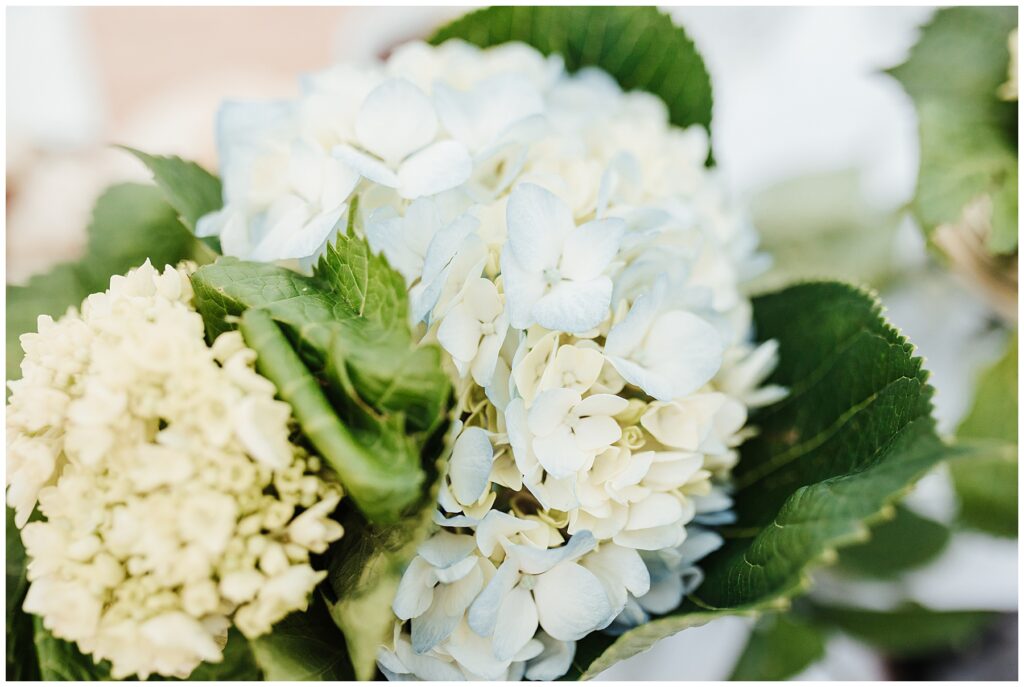 University of Tampa, Flash Mob Proposal , Tampa Proposals, Tampa Engagement Photos, Tampa Engagement Photographer, Tampa Proposal Photographer, Ashley Izquierdo, LGBT Proposals, LGBT Photographers in Tampa, Flash Mob Proposal, Plant High School Dance