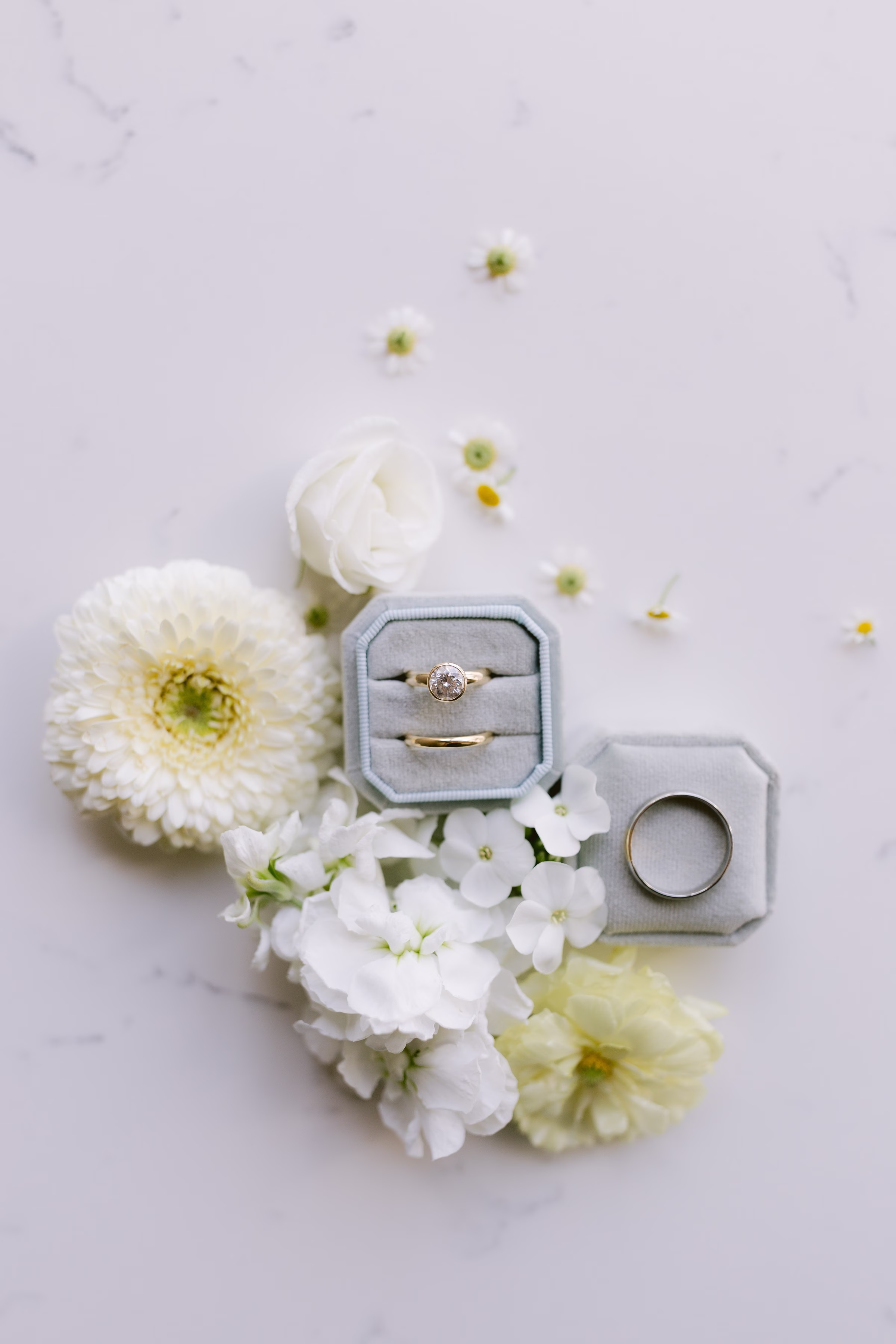 Wedding rings displayed in gray velvet ring box with white flowers and scattered petals on marble surface by Tampa Bay wedding photographer Ashley Izquierdo Photography