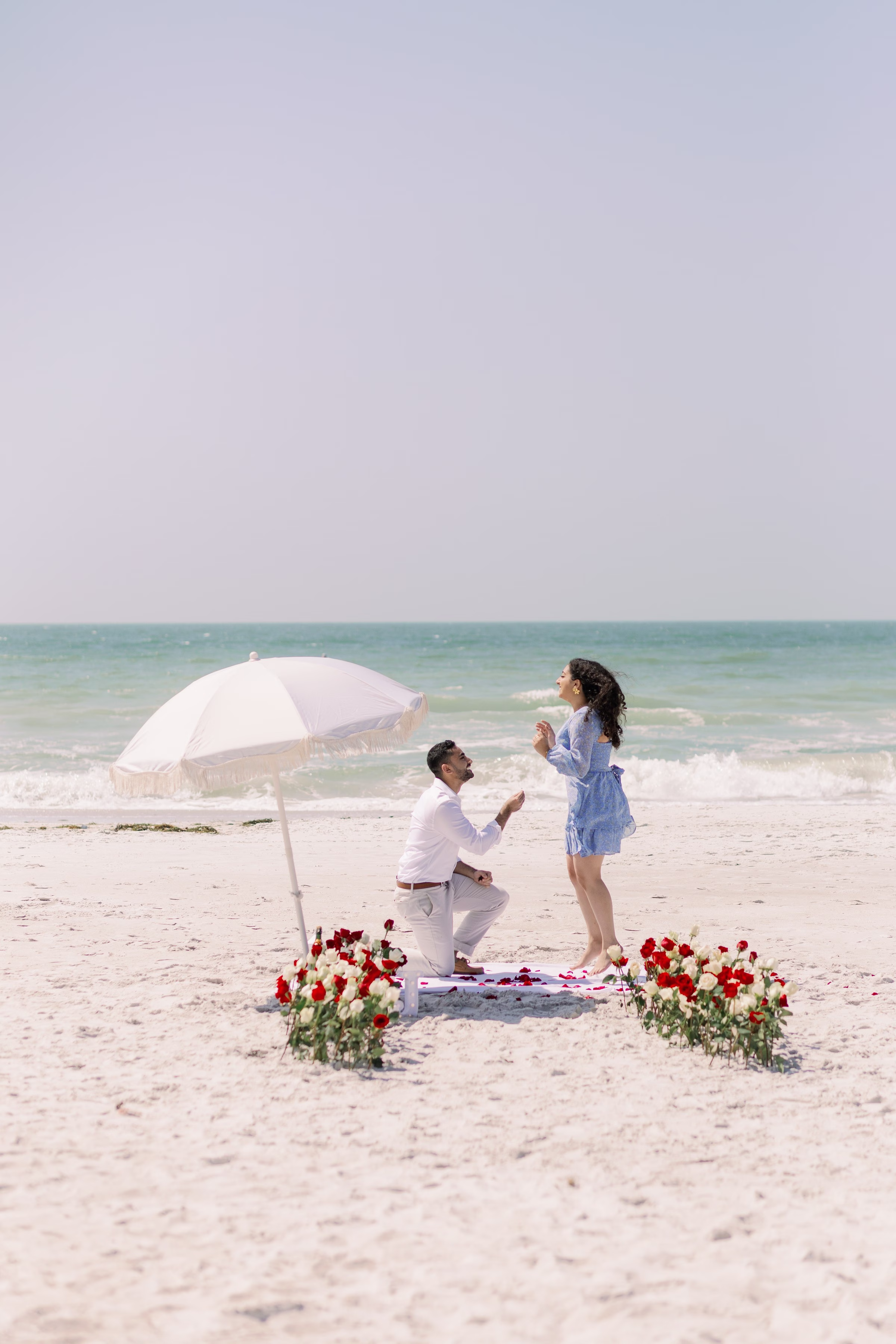Romantic beach marriage proposal with red roses and white umbrella captured by Tampa Bay wedding photographer Ashley Izquierdo Photography