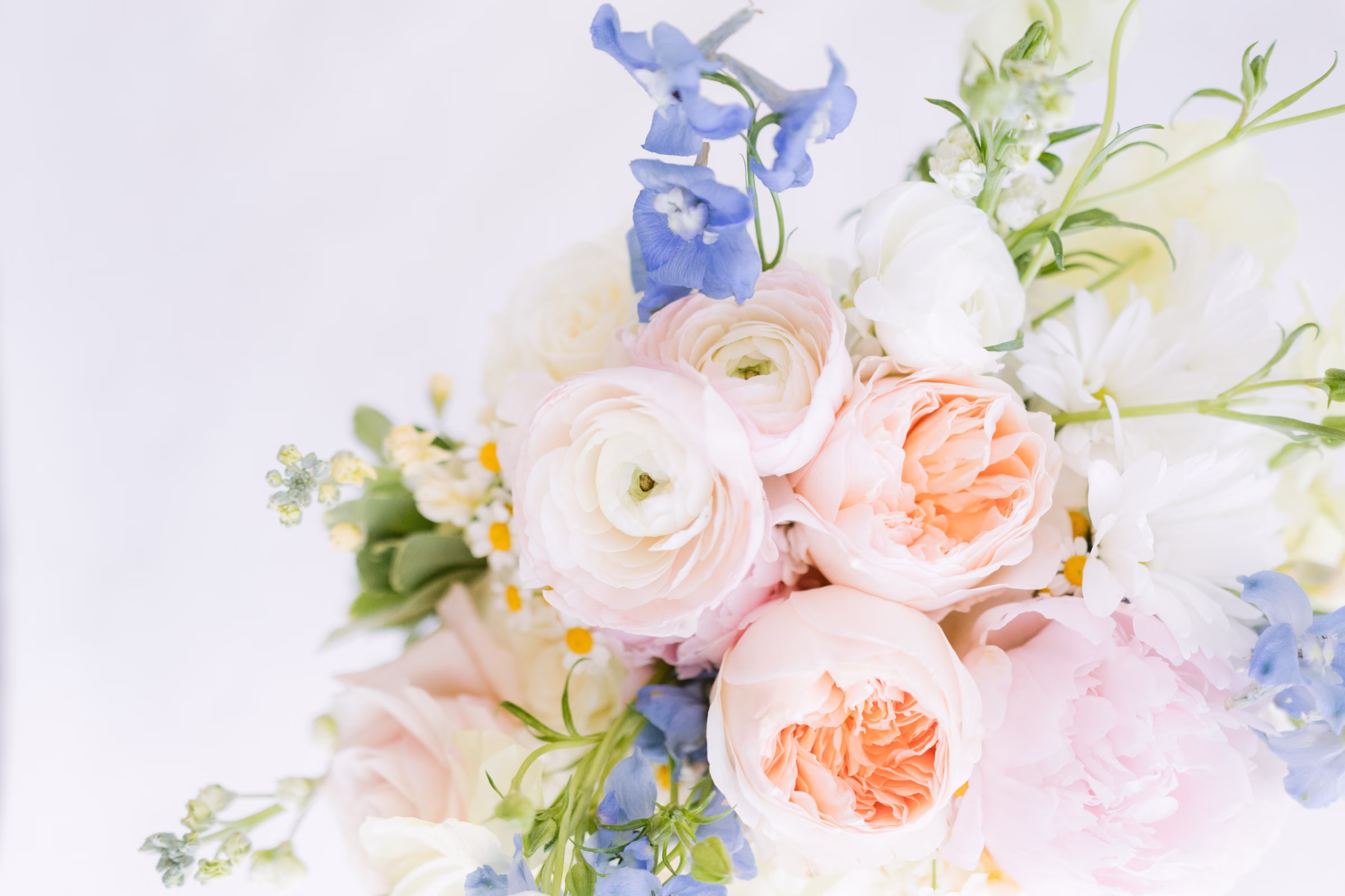 pastel wedding bouquet ranunculus delphinium roses tampa bay - About Ashley Izquierdo Soft pastel wedding bouquet featuring white ranunculus, peach roses, and blue delphinium photographed by Tampa Bay wedding photographer Ashley Izquierdo Photography