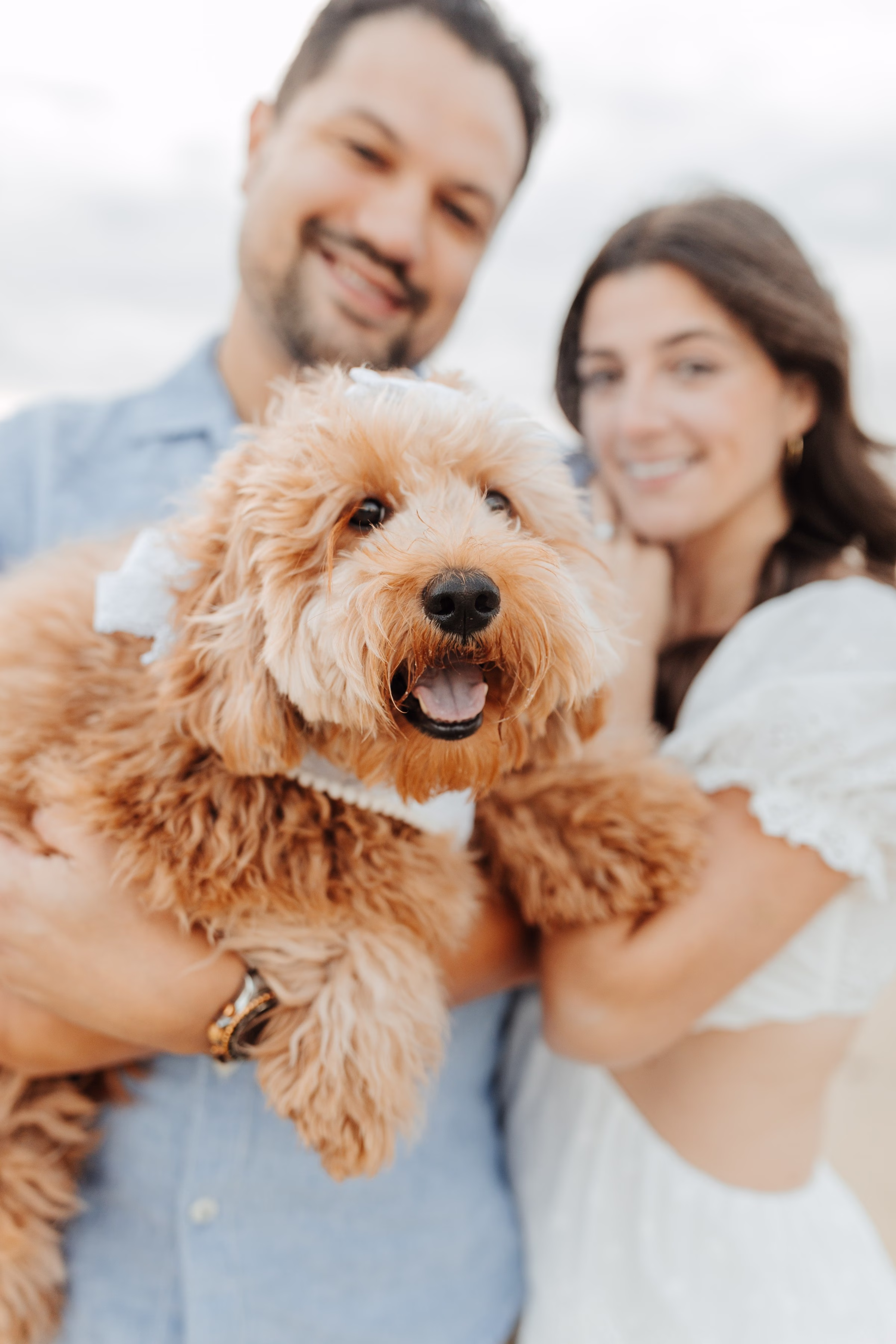 Tampa Bay engagement session featuring happy couple holding their goldendoodle dog by Ashley Izquierdo Photography