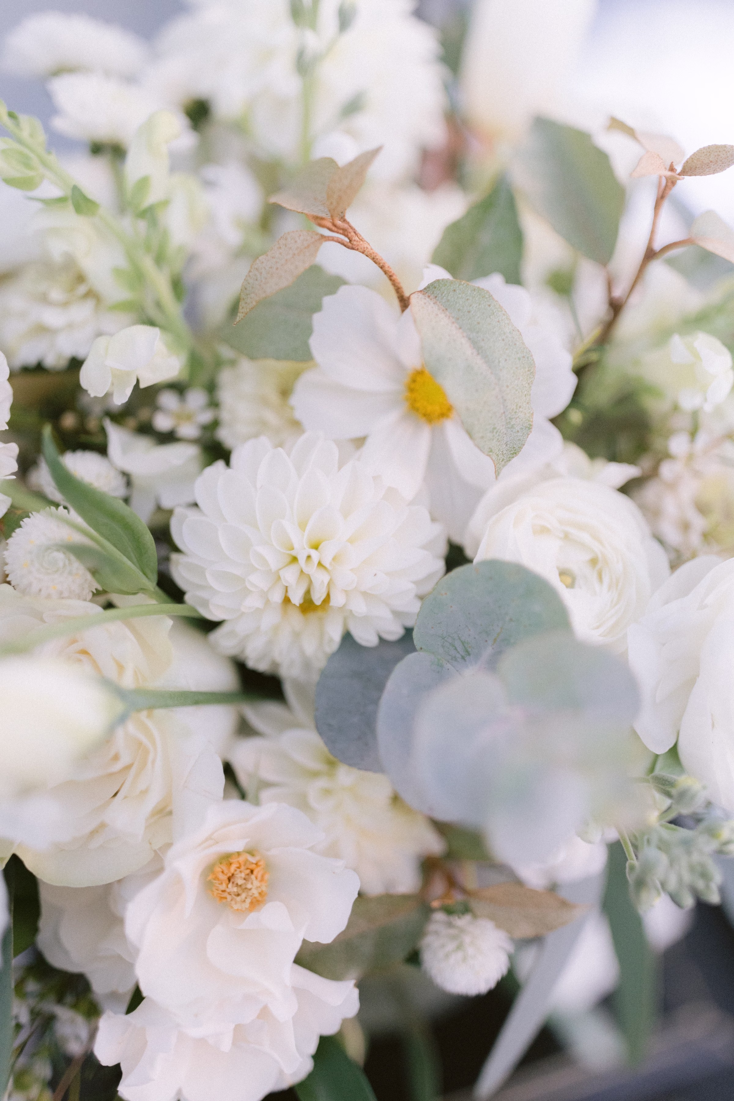 white wedding bouquet flowers branding photography tampa bay - Experience Elegant white wedding bouquet with roses and greenery photographed for Tampa Bay wedding photographer Ashley Izquierdo Photography branding session