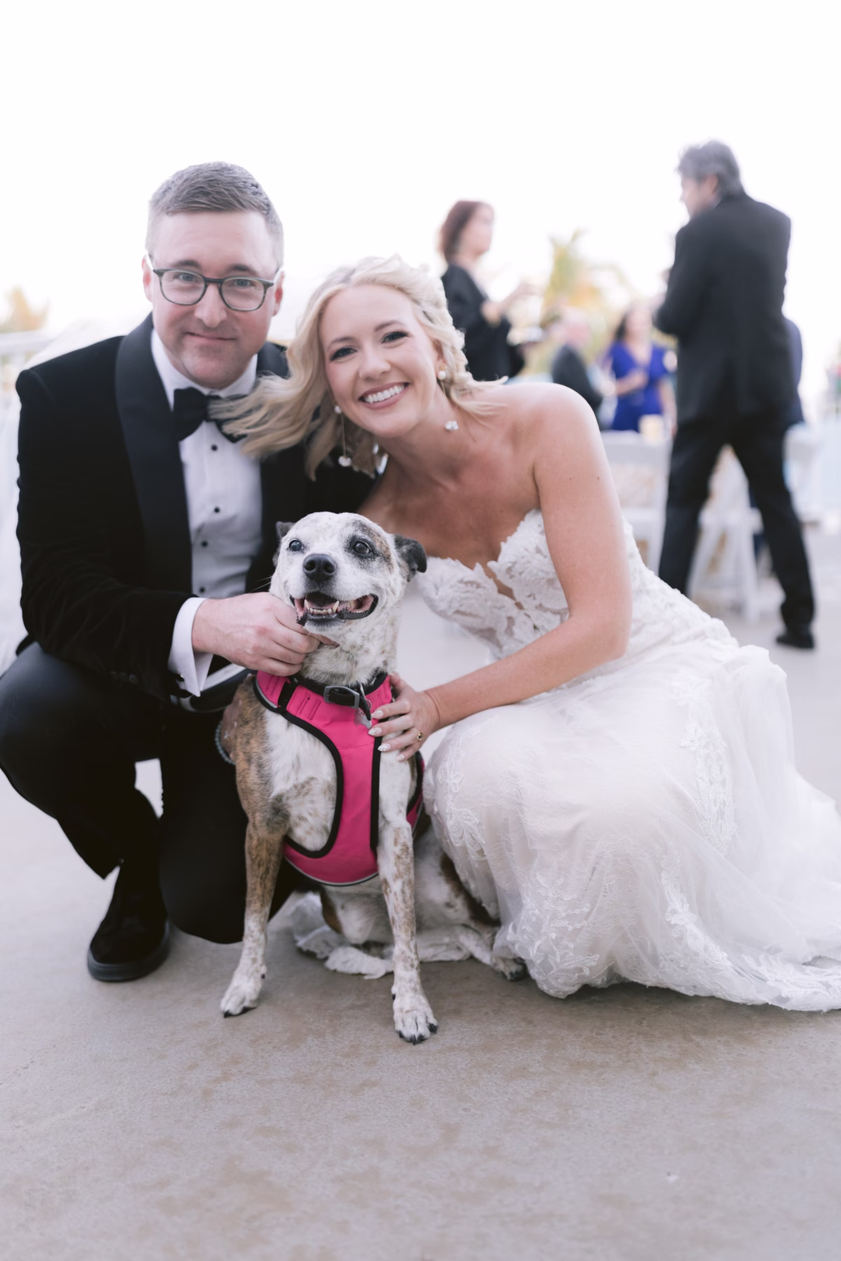 Bride and groom pose with their dog at Casa Marina Key West wedding photographed by Ashley Izquierdo Photography