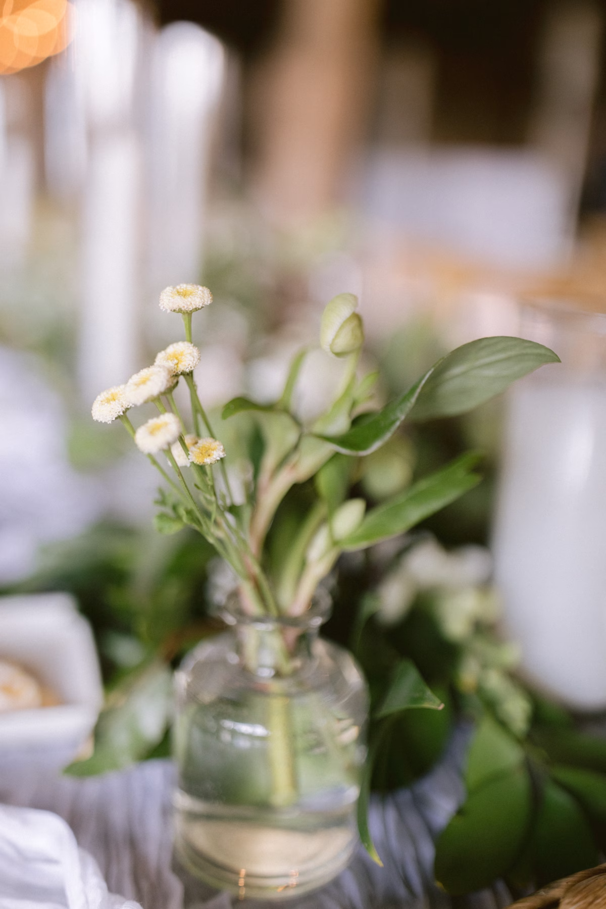 florist allie johnson small white flowers glass vase johnsons locust hall - A Farm Wedding at Johnson's Locust Hall, New Jersey Small white flowers in glass vase by florist Allie Johnson at Johnson's Locust Hall farm wedding in New Jersey