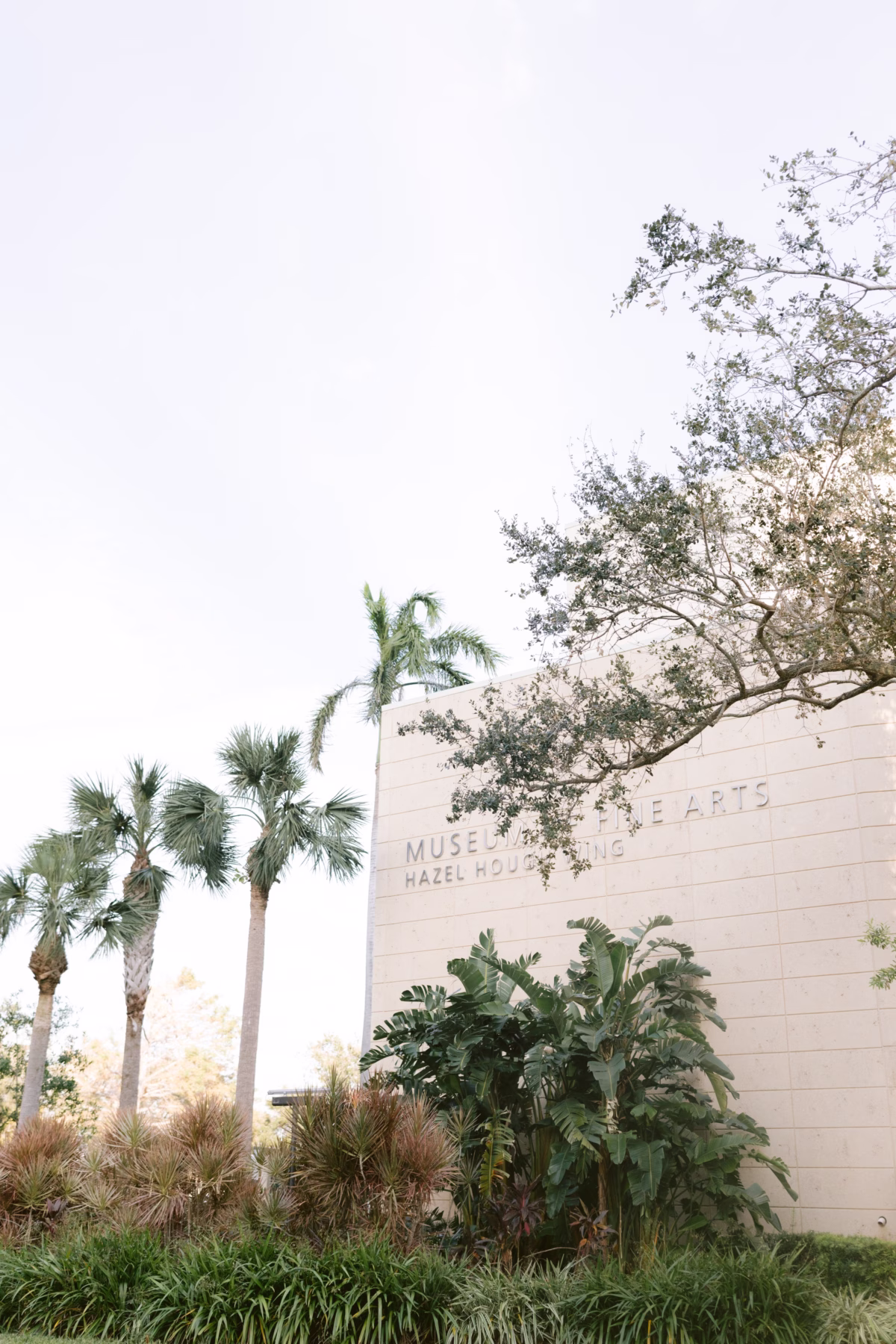 Museum of Fine Arts St. Petersburg wedding venue exterior with palm trees and tropical landscaping for elegant Florida wedding