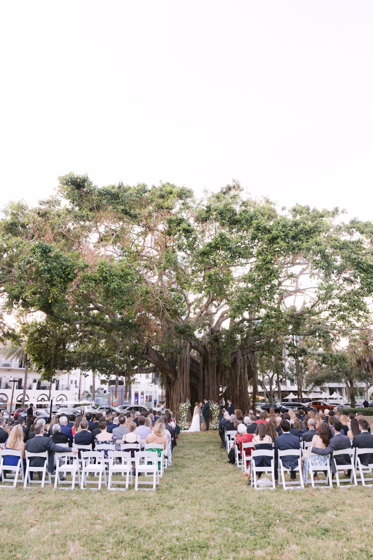 Outdoor wedding ceremony under a large banyan tree at Nancy Cotto Events venue in St. Petersburg with guests seated in white chairs