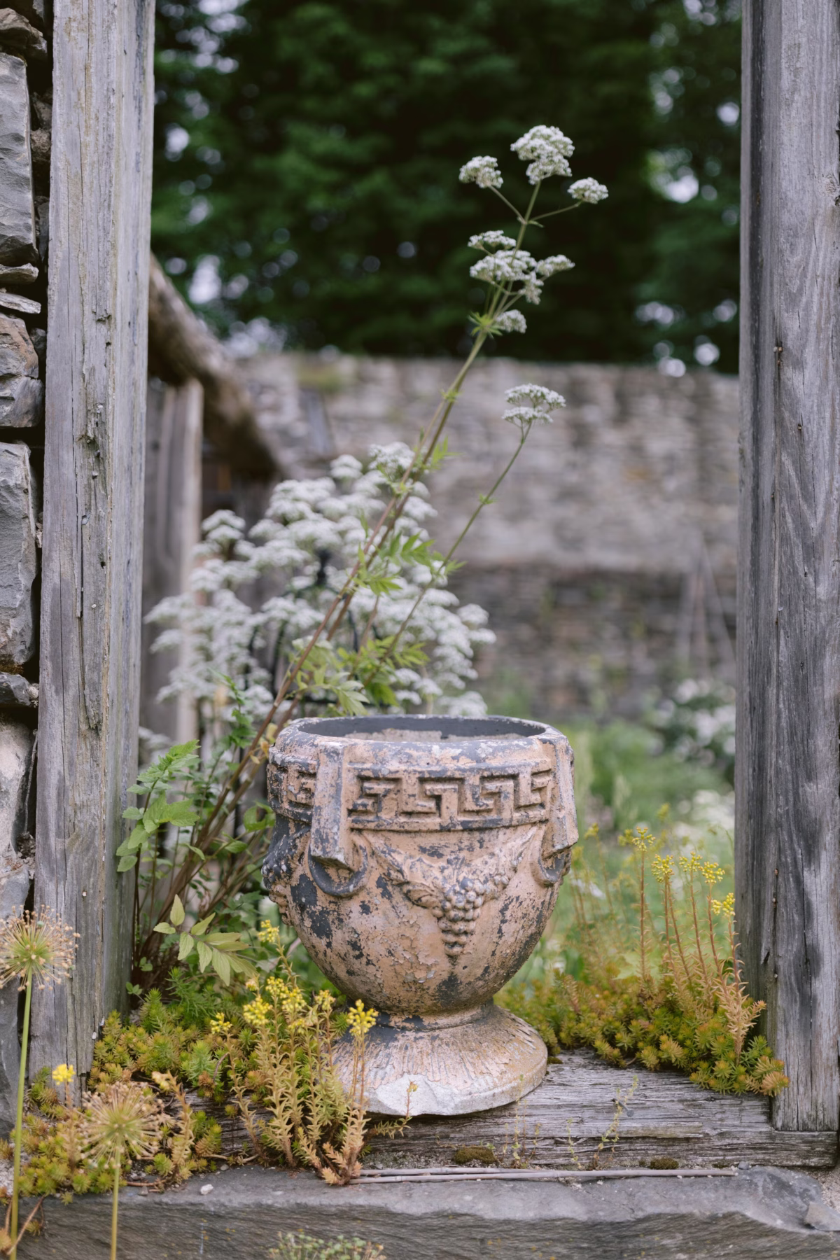 Weathered decorative planter with wildflowers at Red Maple Vineyard wedding venue photographed by Ashley Izquierdo Photography