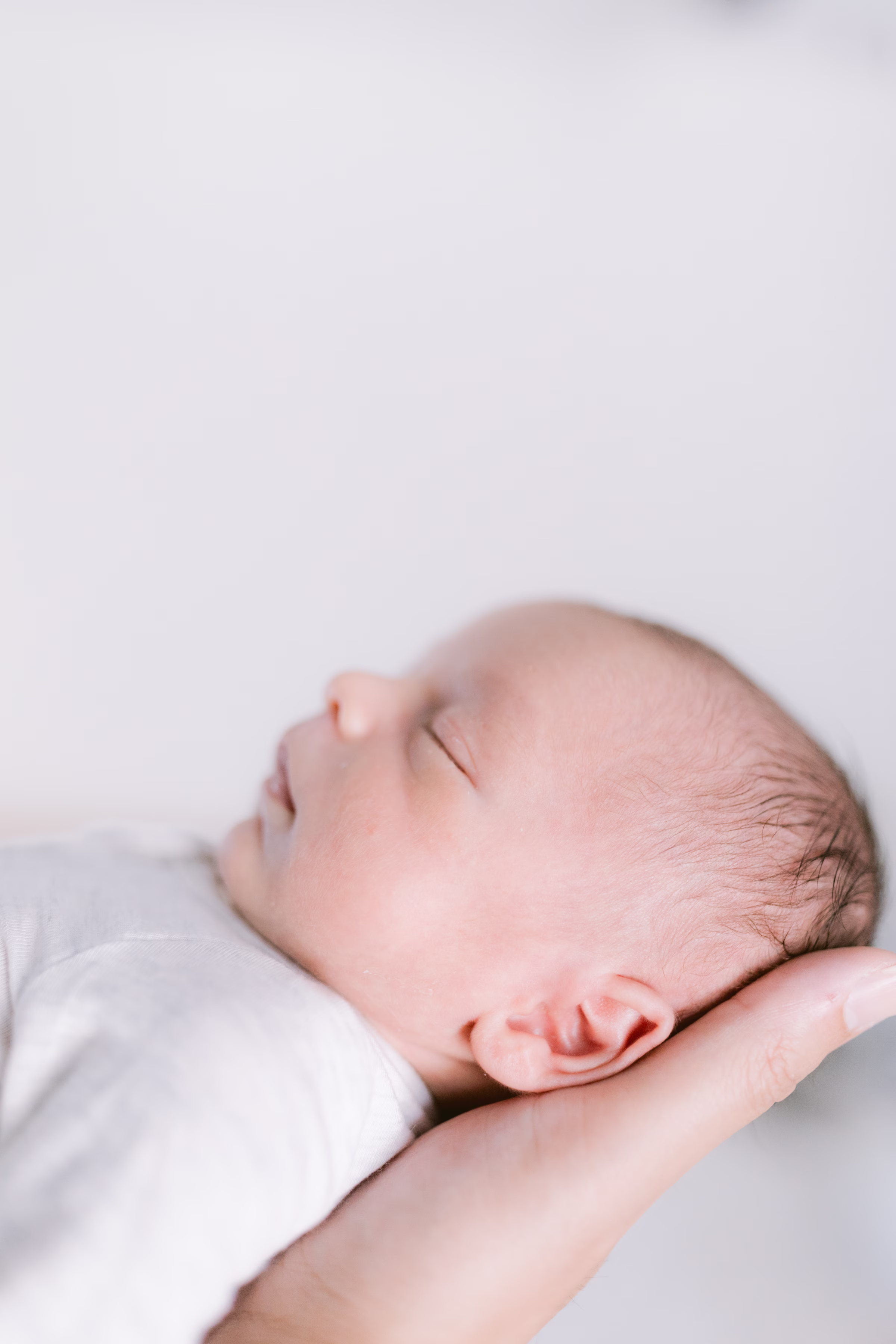 tampa newborn photos lifestyle
