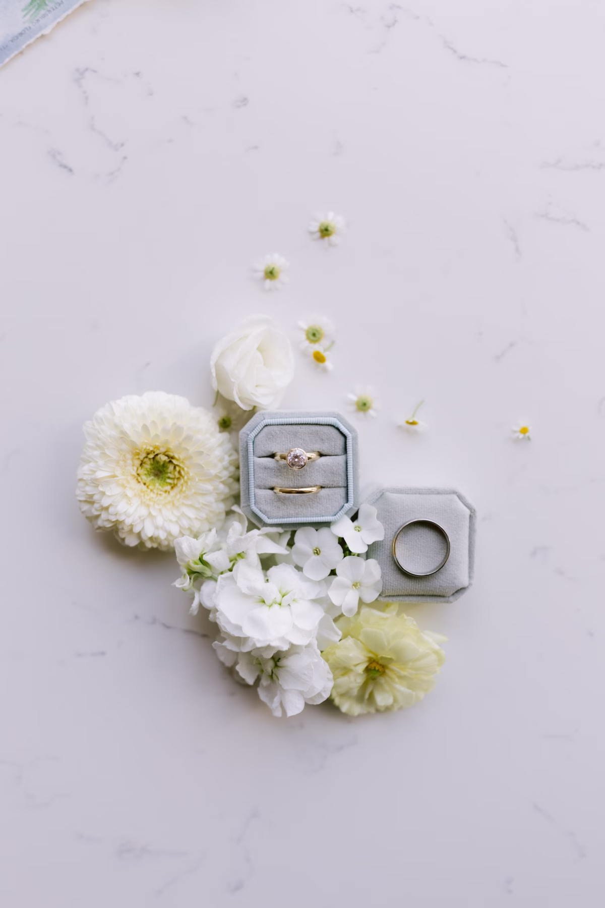 Wedding rings in elegant gray velvet boxes surrounded by white flowers by Wonderland Floral Art at St. Petersburg art museum wedding