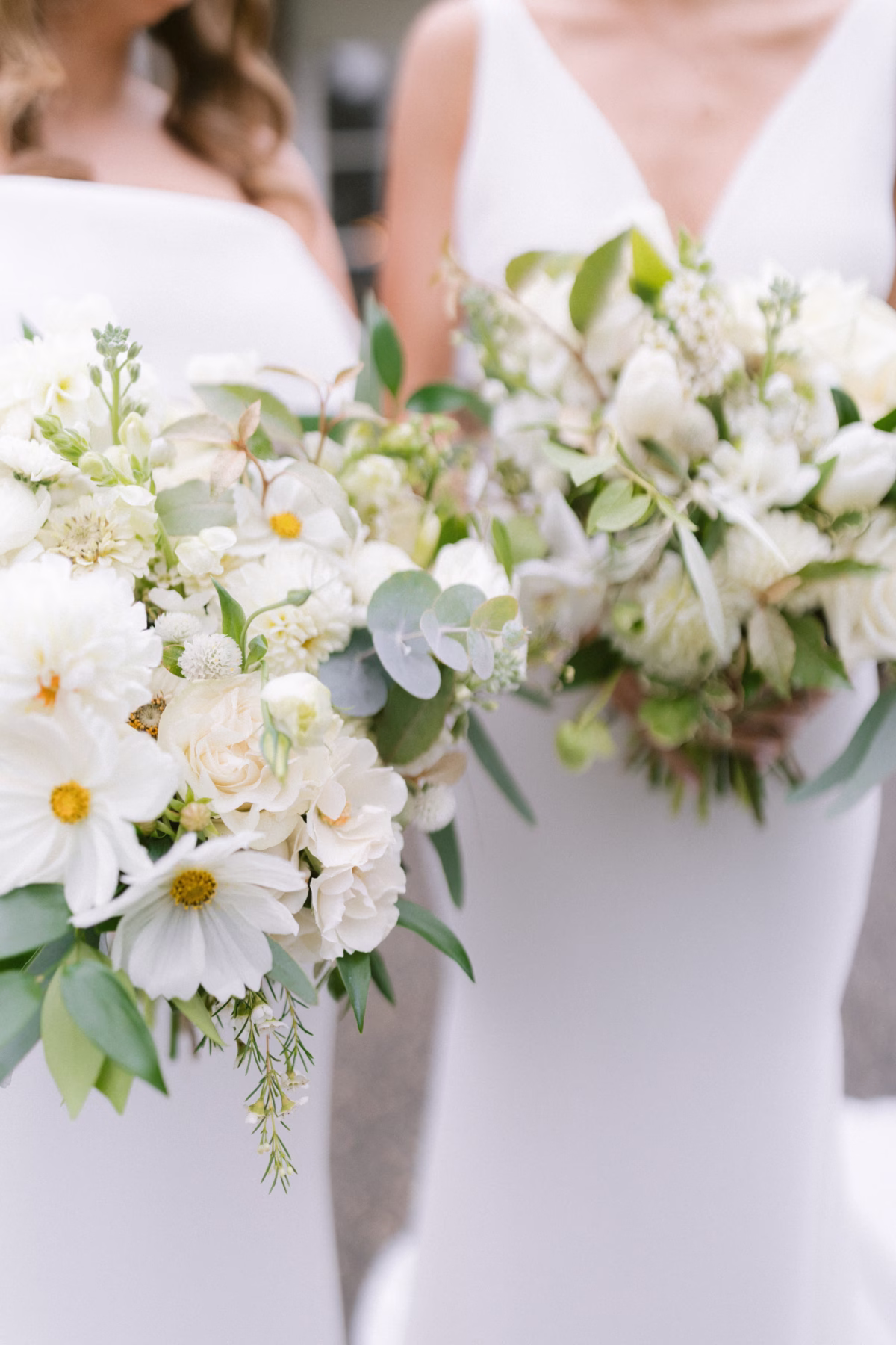 white green wedding bouquets florist allie johnson johnsons locust hall - A Farm Wedding at Johnson's Locust Hall, New Jersey White and green bridal bouquets with cosmos and eucalyptus by florist Allie Johnson at Johnson's Locust Hall New Jersey farm wedding