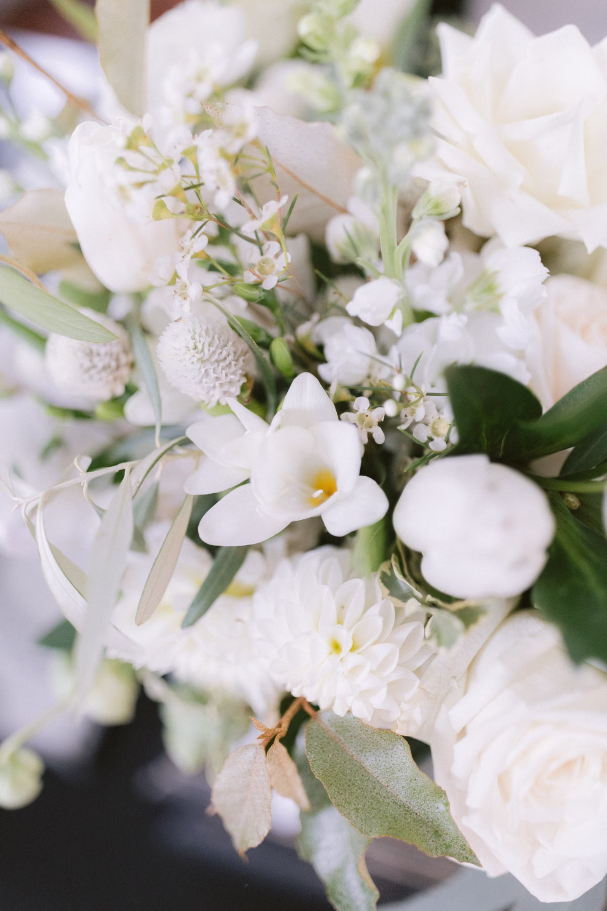 white wedding bouquet florist allie johnson johnsons locust hall - A Farm Wedding at Johnson's Locust Hall, New Jersey White wedding bouquet with jasmine and seasonal blooms by Allie Johnson for farm wedding at Johnson's Locust Hall New Jersey